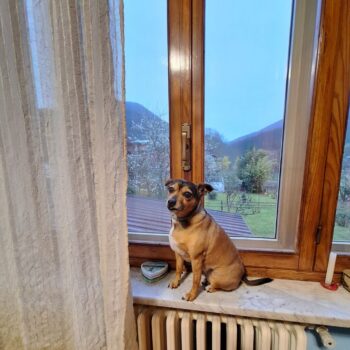 Carica e Vota - Febbraio 2026