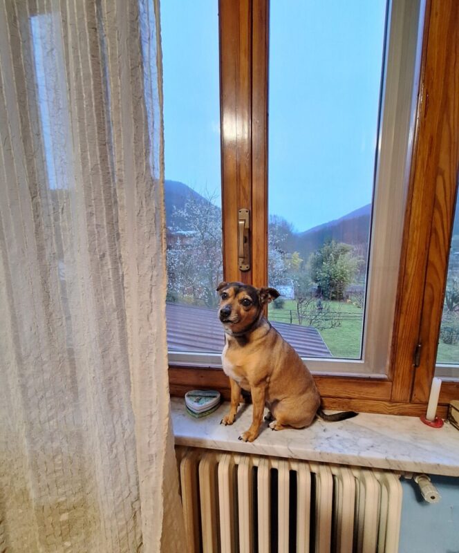 Carica e Vota - Febbraio 2026