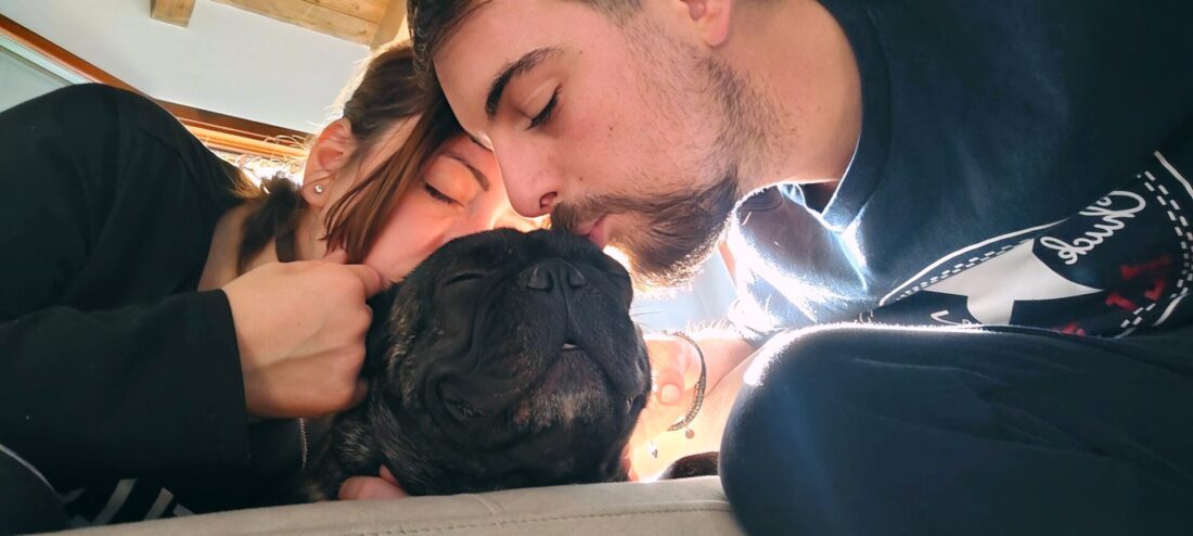 Carica e Vota - Febbraio 2026