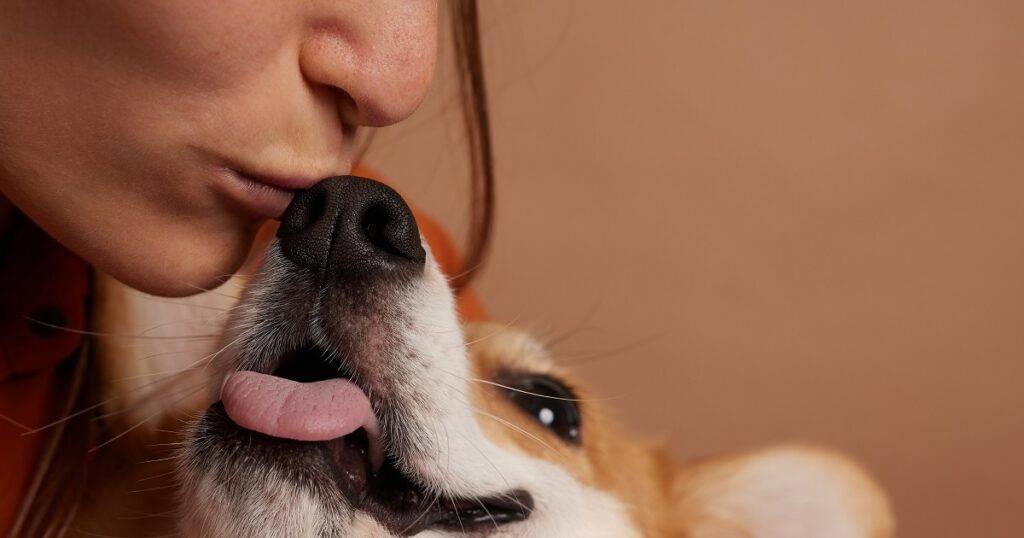 Integratori naturali per cani: cosa sono e come sceglierli