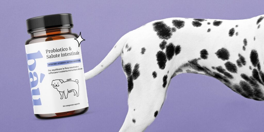 Integratori naturali per cani: cosa sono e come sceglierli