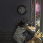 Un cane e un gatto guardano i fuochi d'artificio: ecco come evitare di avere animali stressati durante le feste
