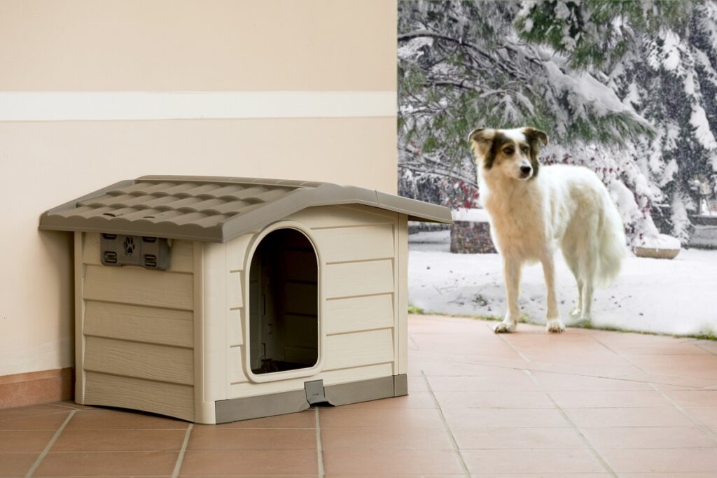 Il cane dorme fuori? Protezione e comfort anche nei mesi freddi