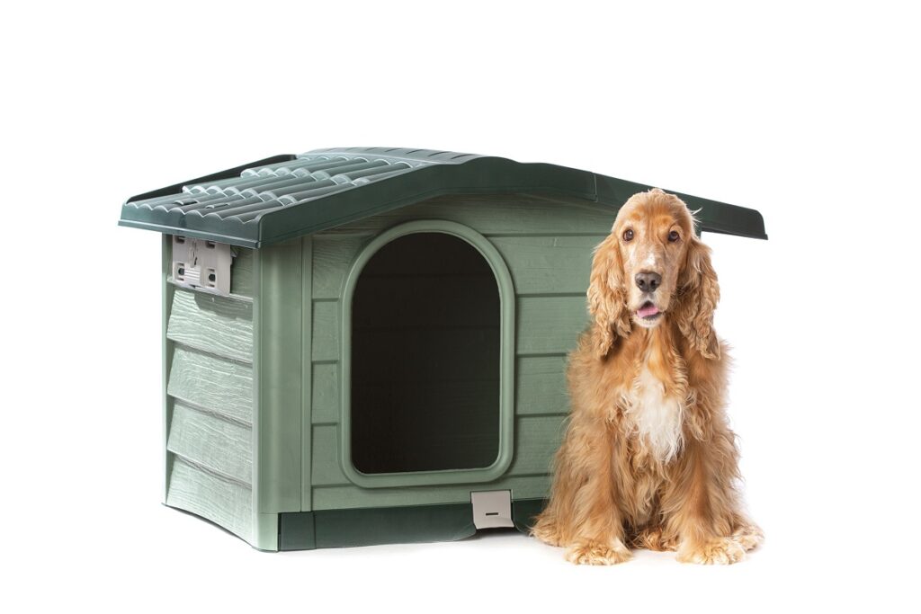 Il cane dorme fuori? Protezione e comfort anche nei mesi freddi