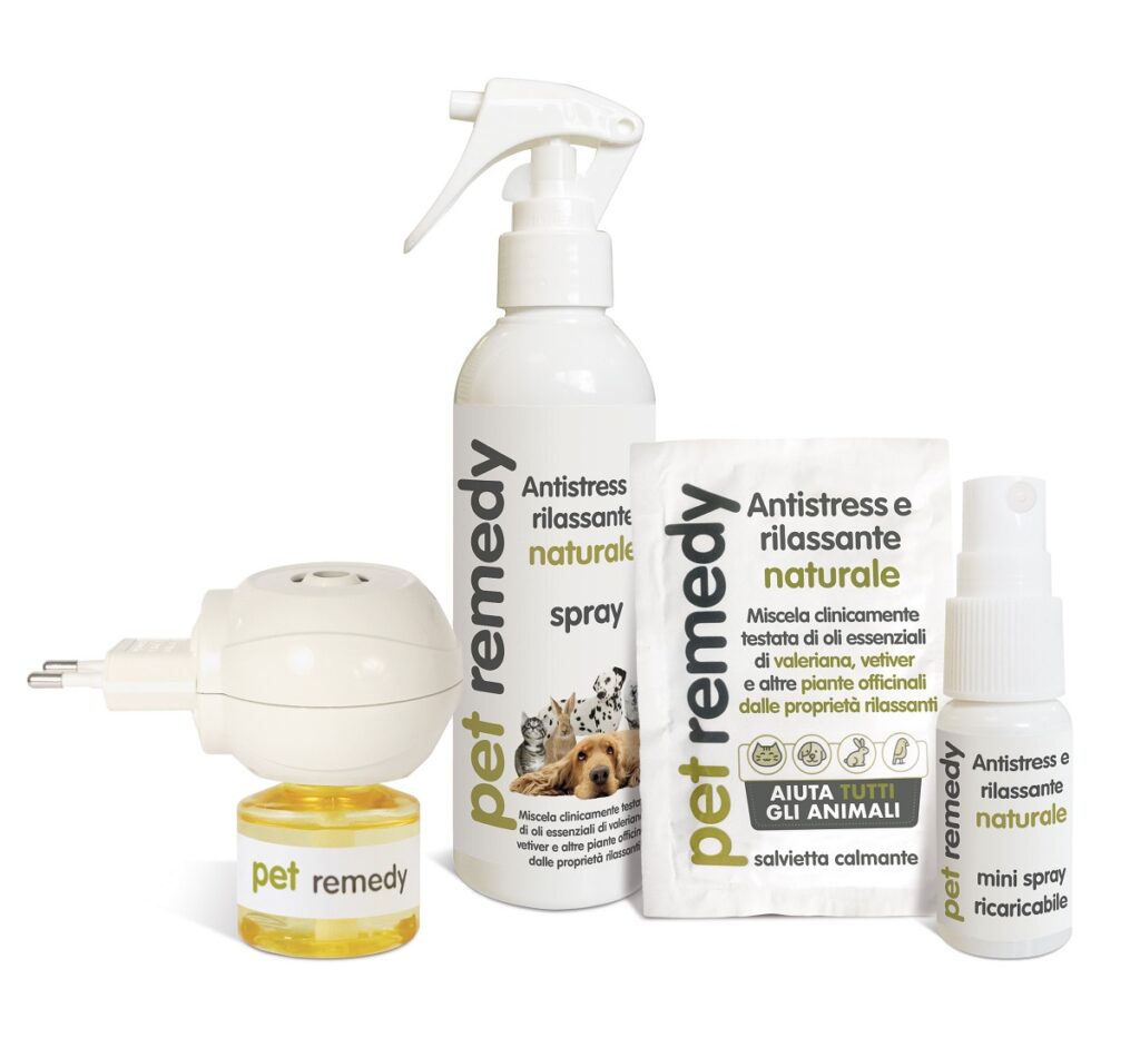 Natale e Capodanno senza stress per i nostri pet