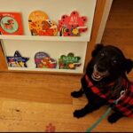 Carica e Vota - Marzo 2026