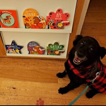 Carica e Vota - Marzo 2026