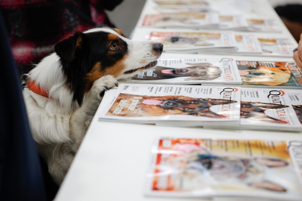 Torna a Padova QuattroZampeinFiera