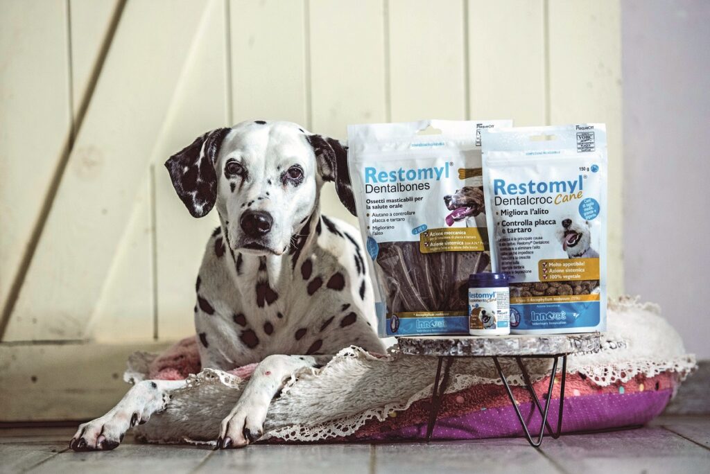 La bocca di Fido e Micio: come garantire un’igiene corretta