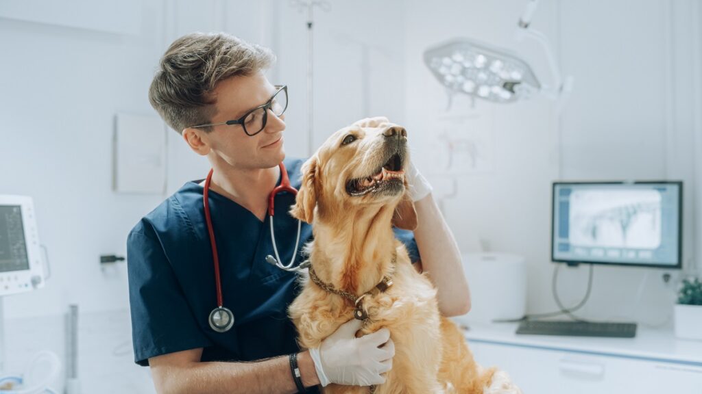 Giornata per la prevenzione veterinaria per migliorare la salute di tutti