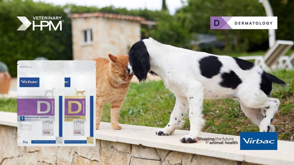 Le allergie alimentari nei pet: conoscerle per “curarle”