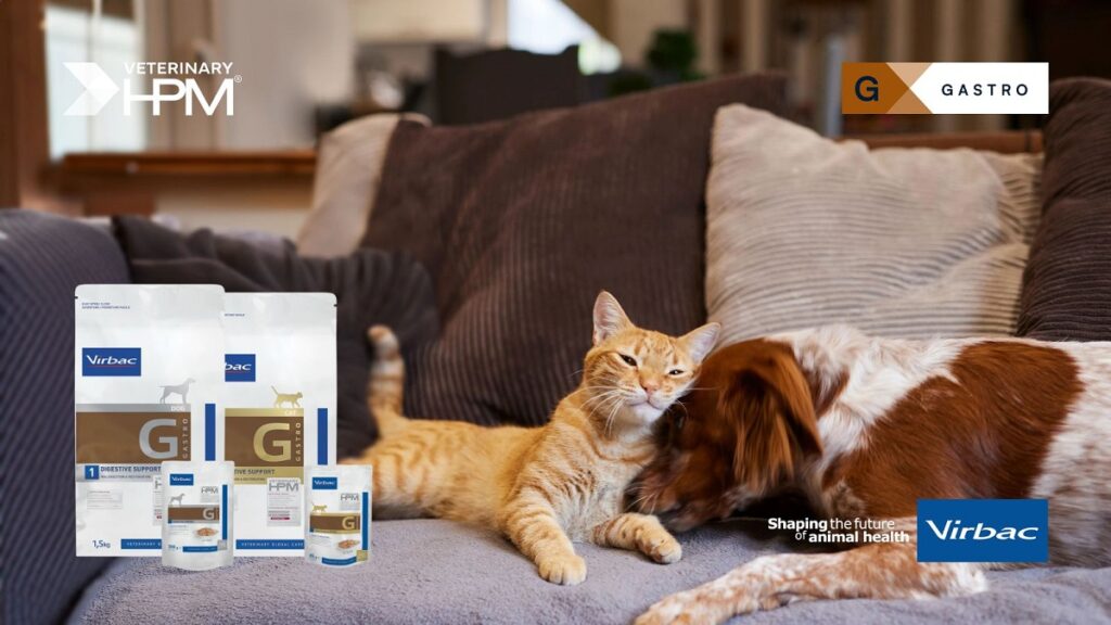 Le allergie alimentari nei pet: conoscerle per “curarle”