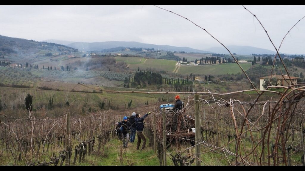 Fiducia tra uomo e cane? Si impara alla Scuola Contadina