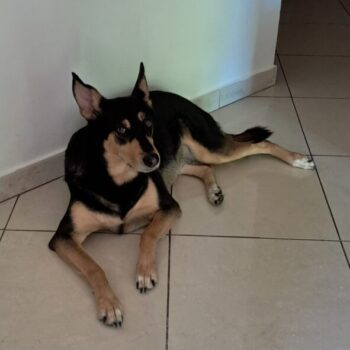 Carica e Vota - Marzo 2026