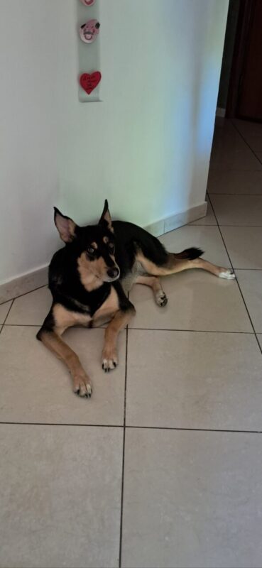 Carica e Vota - Marzo 2026