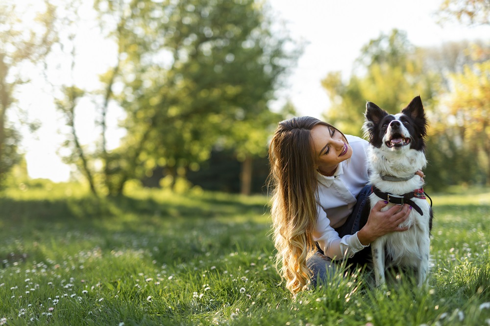 Una donna con il suo cane su un prato: Torino celebra i suoi amici a quattro zampe con il Memoriale per cani