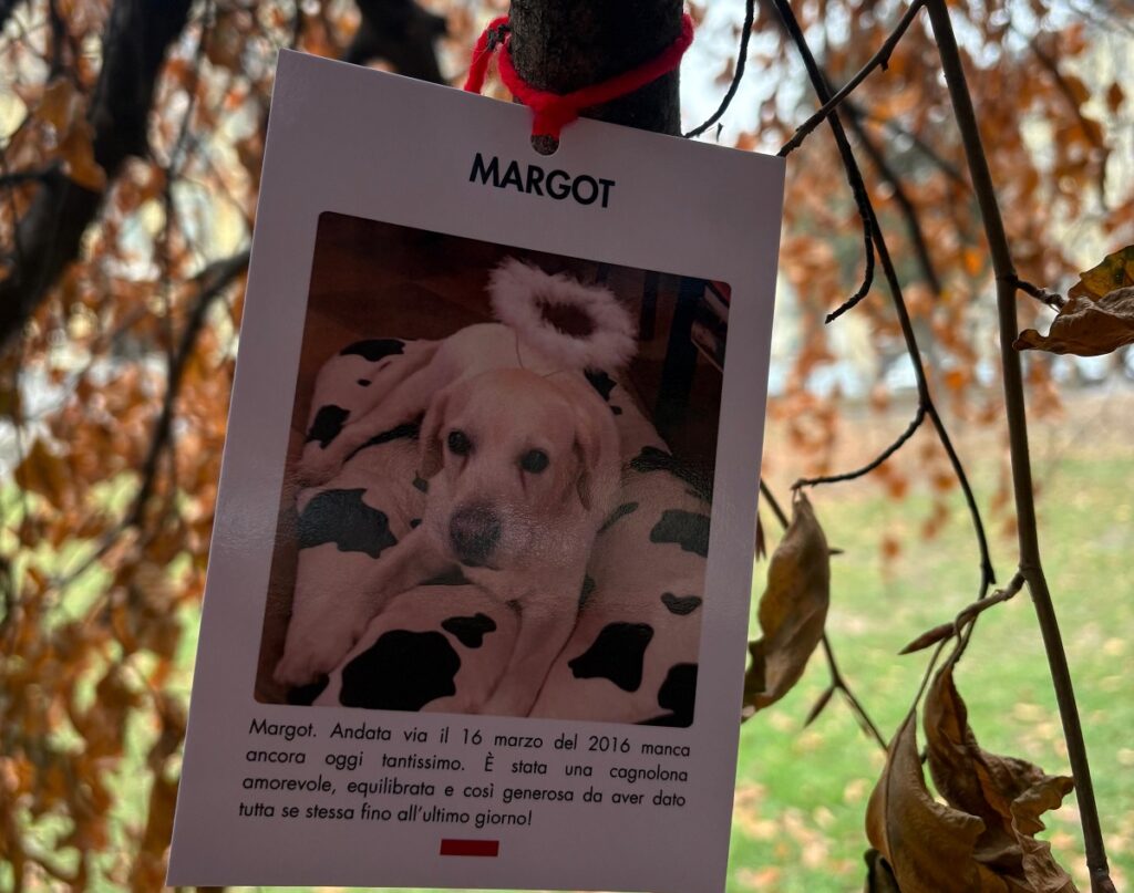 Memoriale per cani a Torino per custodire le storie del cuore
