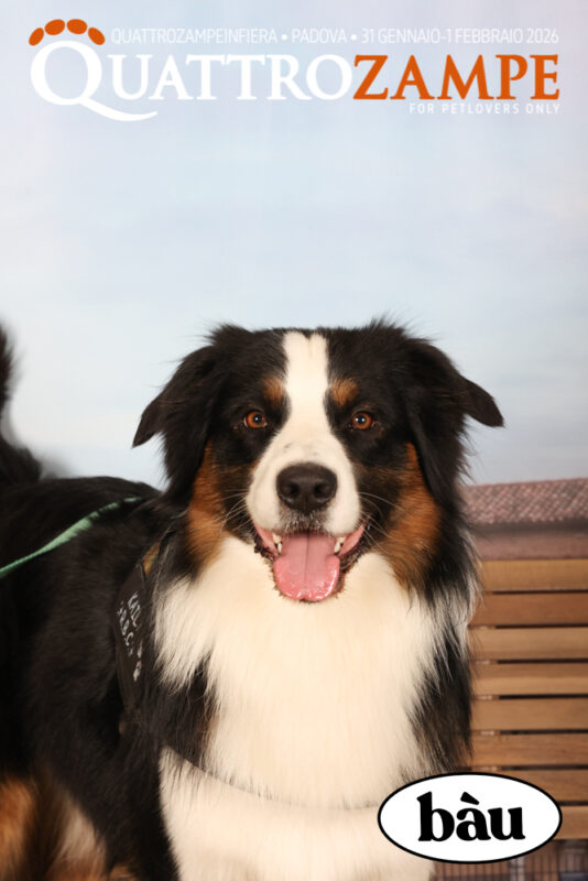 Concorso Fotografico - QuattroZampe in Fiera - Padova - Gennaio/Febbraio 2026