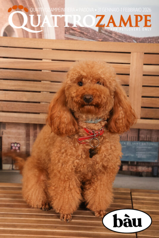 Concorso Fotografico - QuattroZampe in Fiera - Padova - Gennaio/Febbraio 2026