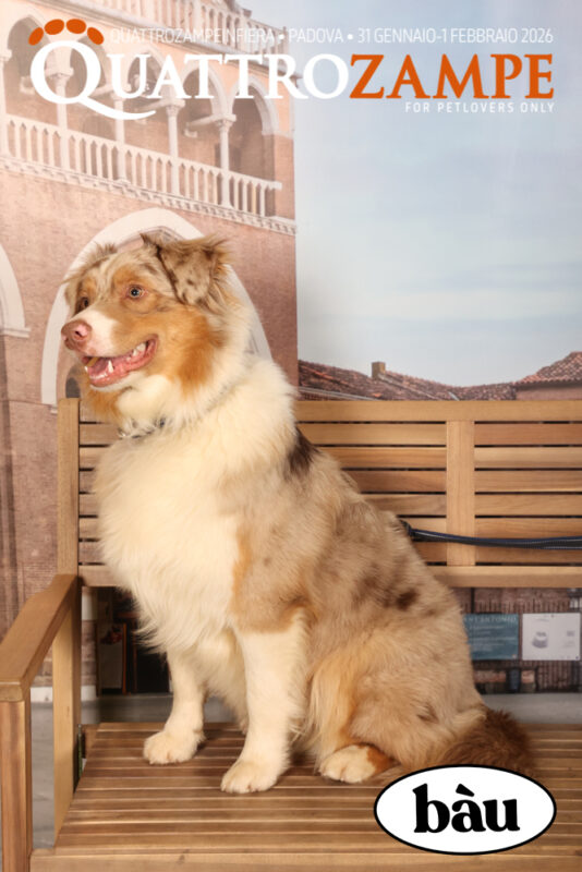 Concorso Fotografico - QuattroZampe in Fiera - Padova - Gennaio/Febbraio 2026