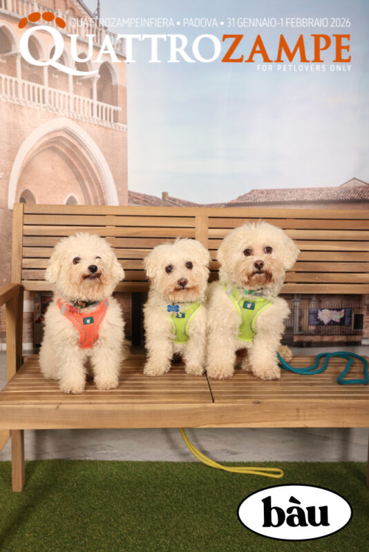 Concorso Fotografico - QuattroZampe in Fiera - Padova - Gennaio/Febbraio 2026