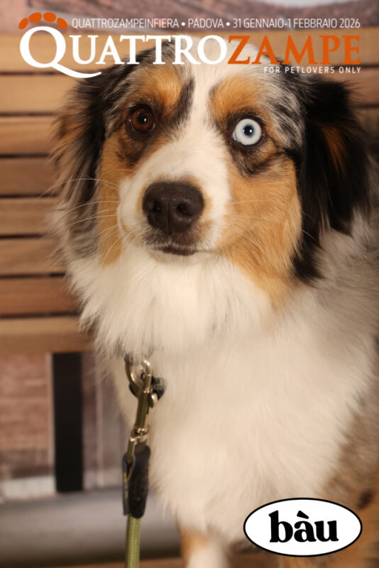 Concorso Fotografico - QuattroZampe in Fiera - Padova - Gennaio/Febbraio 2026