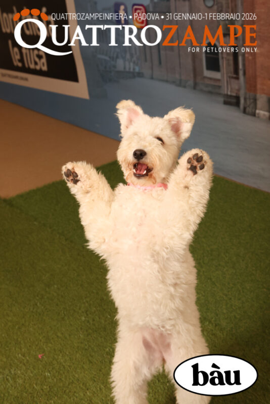 Concorso Fotografico - QuattroZampe in Fiera - Padova - Gennaio/Febbraio 2026