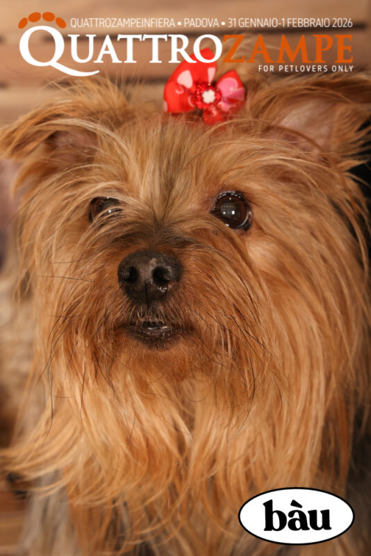 Concorso Fotografico - QuattroZampe in Fiera - Padova - Gennaio/Febbraio 2026