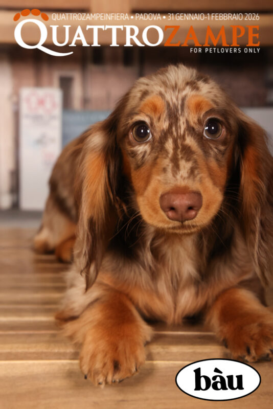 Concorso Fotografico - QuattroZampe in Fiera - Padova - Gennaio/Febbraio 2026