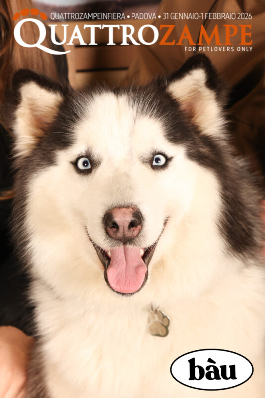 Concorso Fotografico - QuattroZampe in Fiera - Padova - Gennaio/Febbraio 2026
