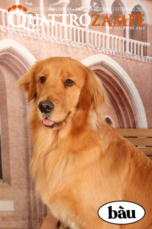 Concorso Fotografico - QuattroZampe in Fiera - Padova - Gennaio/Febbraio 2026