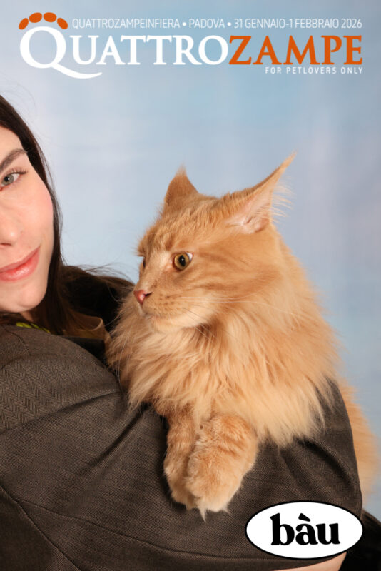 Concorso Fotografico - QuattroZampe in Fiera - Padova - Gennaio/Febbraio 2026