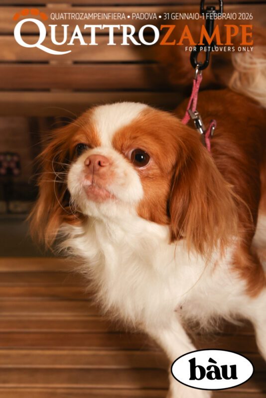 Concorso Fotografico - QuattroZampe in Fiera - Padova - Gennaio/Febbraio 2026