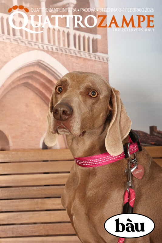 Concorso Fotografico - QuattroZampe in Fiera - Padova - Gennaio/Febbraio 2026