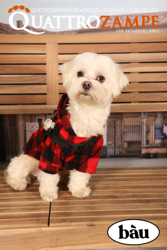 Concorso Fotografico - QuattroZampe in Fiera - Padova - Gennaio/Febbraio 2026