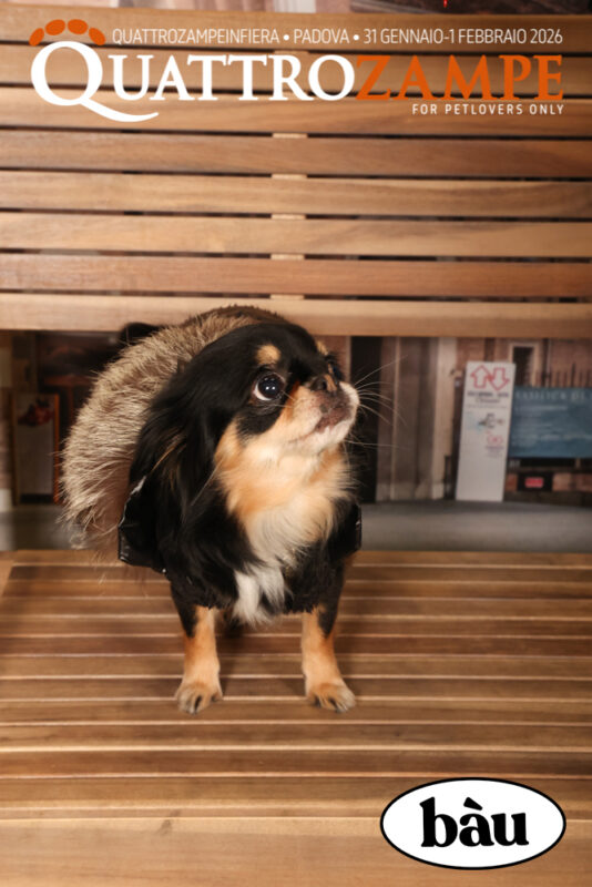 Concorso Fotografico - QuattroZampe in Fiera - Padova - Gennaio/Febbraio 2026