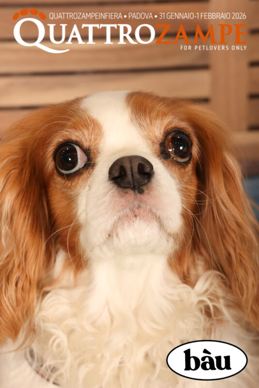 Concorso Fotografico - QuattroZampe in Fiera - Padova - Gennaio/Febbraio 2026