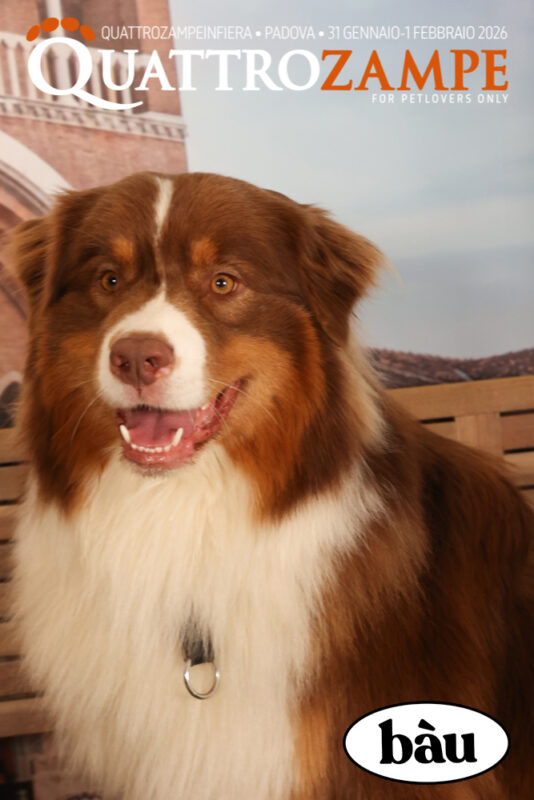 Concorso Fotografico - QuattroZampe in Fiera - Padova - Gennaio/Febbraio 2026