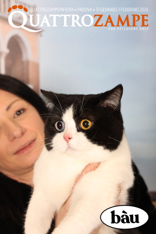 Concorso Fotografico - QuattroZampe in Fiera - Padova - Gennaio/Febbraio 2026