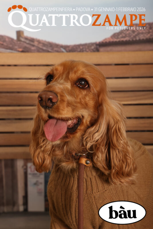 Concorso Fotografico - QuattroZampe in Fiera - Padova - Gennaio/Febbraio 2026