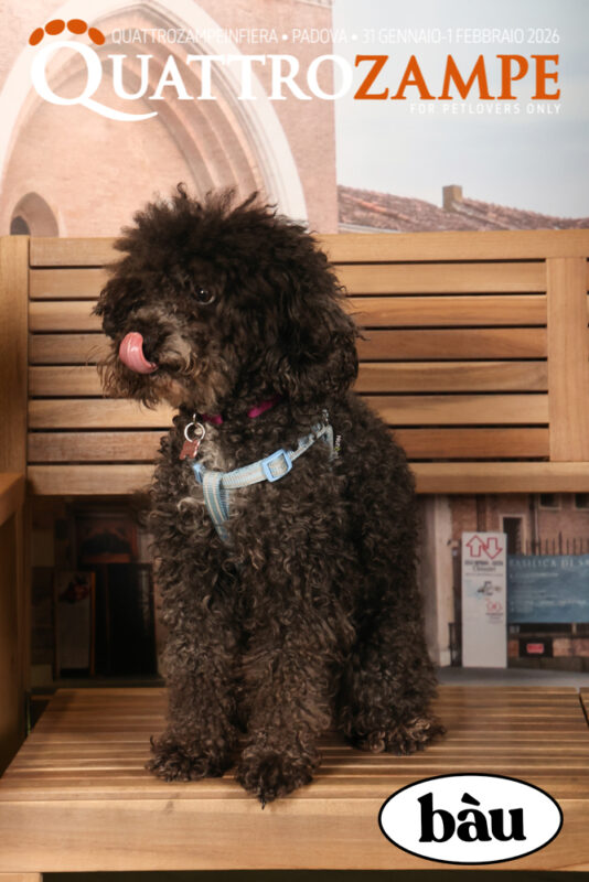 Concorso Fotografico - QuattroZampe in Fiera - Padova - Gennaio/Febbraio 2026