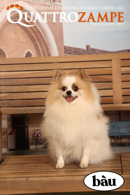 Concorso Fotografico - QuattroZampe in Fiera - Padova - Gennaio/Febbraio 2026