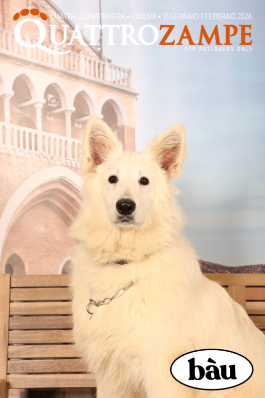 Concorso Fotografico - QuattroZampe in Fiera - Padova - Gennaio/Febbraio 2026