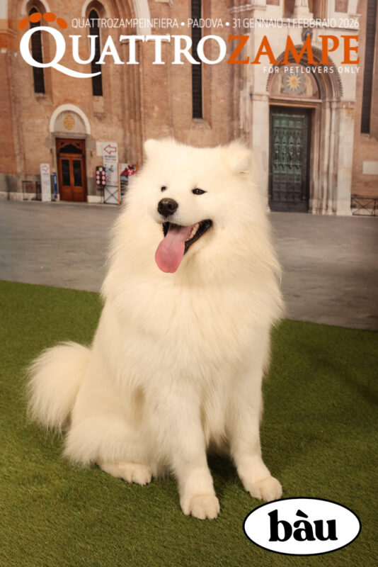 Concorso Fotografico - QuattroZampe in Fiera - Padova - Gennaio/Febbraio 2026