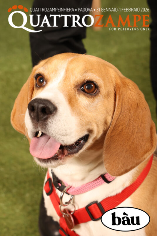 Concorso Fotografico - QuattroZampe in Fiera - Padova - Gennaio/Febbraio 2026