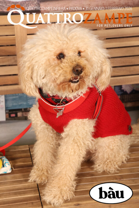 Concorso Fotografico - QuattroZampe in Fiera - Padova - Gennaio/Febbraio 2026