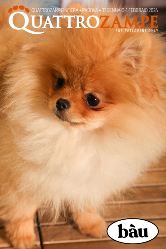 Concorso Fotografico - QuattroZampe in Fiera - Padova - Gennaio/Febbraio 2026