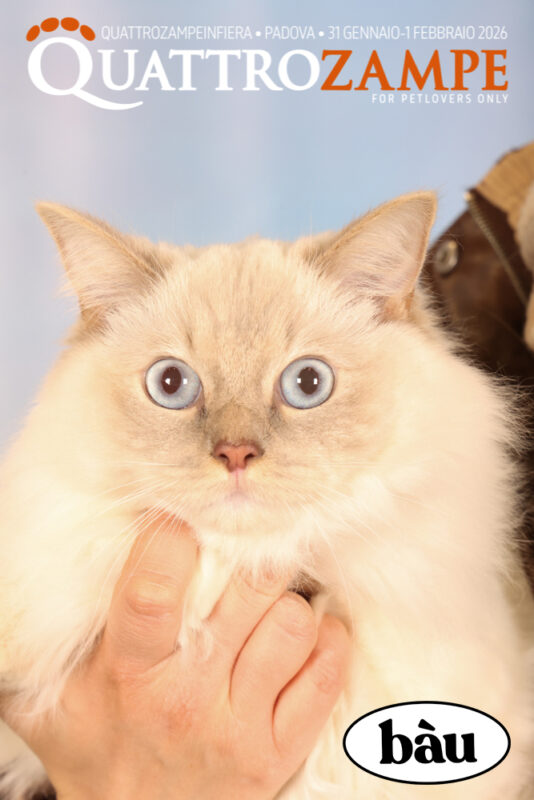 Concorso Fotografico - QuattroZampe in Fiera - Padova - Gennaio/Febbraio 2026