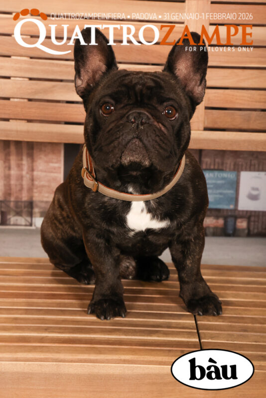 Concorso Fotografico - QuattroZampe in Fiera - Padova - Gennaio/Febbraio 2026