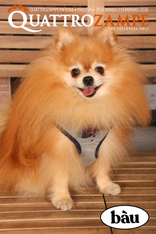 Concorso Fotografico - QuattroZampe in Fiera - Padova - Gennaio/Febbraio 2026